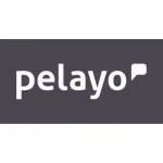 pelayo seguros leomotor